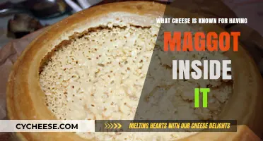 Maggot-Infested Delicacy: Exploring Casu Marzu, the Controversial Cheese