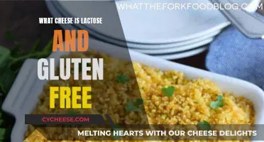 Lactose and Gluten-Free Cheeses: What to Eat