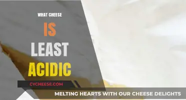 Discover the Mildest, Least Acidic Cheese Options for Sensitive Stomachs