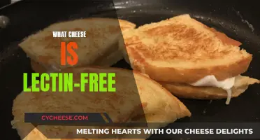 Lectin-Free Cheeses: What to Eat and Avoid