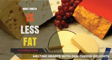 Healthier Cheese Options: Low-Fat Varieties for Guilt-Free Indulgence