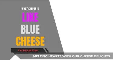 Cheeses Similar to Blue Cheese: A Comprehensive Guide