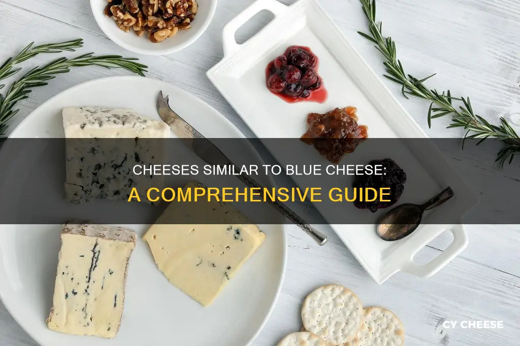 what cheese is like blue cheese