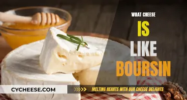 Creamy, Crumbly Cheeses: Boursin and Its Similar Cheeses