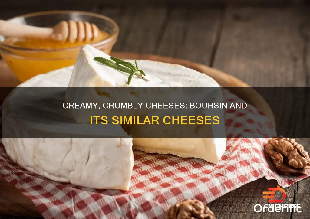 what cheese is like boursin