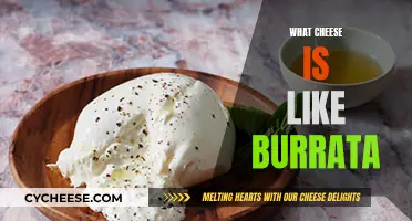 Creamy, Soft Cheeses Similar to Burrata