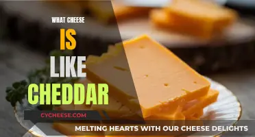 Cheeses Similar to Cheddar: A Tasty Alternative