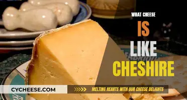 Cheshire Cheese: Unique, Crumbly, and Salty Delicacy
