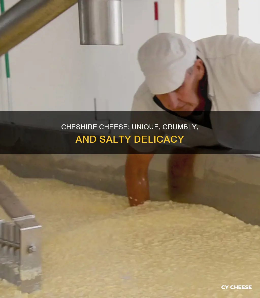 what cheese is like cheshire