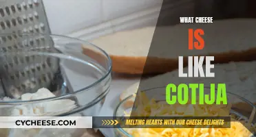 Cheeses Similar to Cotija: A Comprehensive Guide