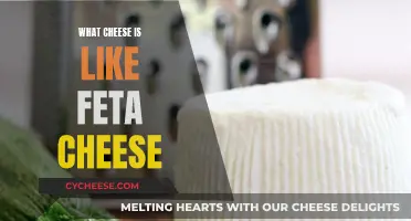 Cheese Exploration: Feta and Its Similar Cheeses