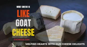 Goat Cheese Alternatives: Similar Cheeses for Your Palate