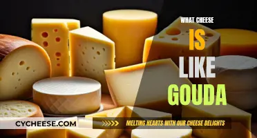 Cheeses Similar to Gouda: A Tasty Alternative