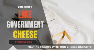 Cheese and Government: Similarities in Texture and Taste