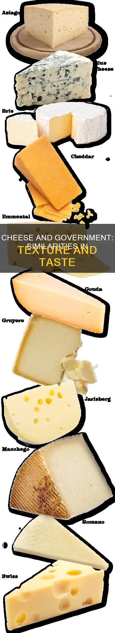 what cheese is like government cheese