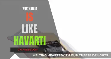 Havarti-like Cheeses: A Guide to Similar Cheeses