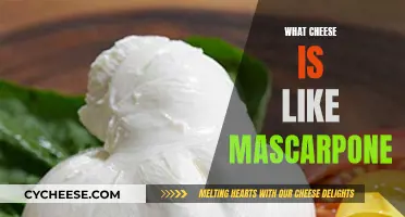 Cheeses Similar to Mascarpone: Creamy, Soft, and Spreadable