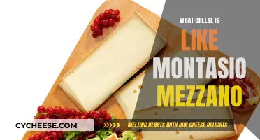 Discovering Cheeses Similar to Montasio Mezzano