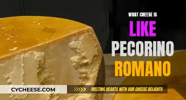 Discovering Cheeses Similar to Pecorino Romano