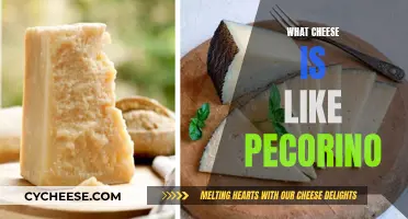 Discovering Cheeses Similar to Pecorino: A Guide