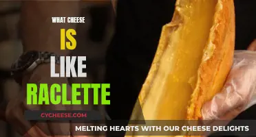 Cheeses Similar to Raclette: A Melty, Delicious Guide