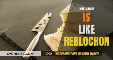 Cheeses Similar to Reblochon: A Comprehensive Guide