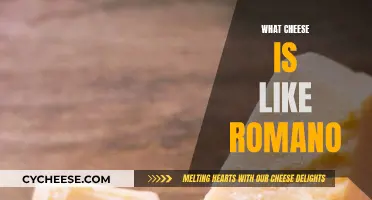 Romano Cheese Alternatives: Similar Cheeses for Your Palate