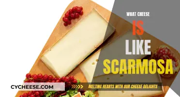 Explore Scamorza's Cheesy Cousins: Similar Cheese, Unique Flavors
