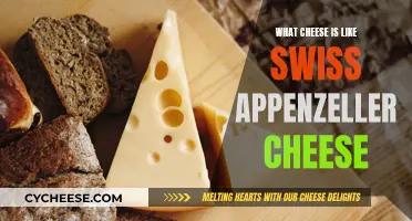 Swiss Appenzeller Cheese: Similar Cheeses for Your Palate