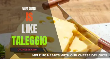 Taleggio's Cousins: Exploring Similar Cheeses