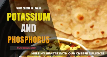 Low-Potassium, Low-Phosphorus Cheeses: Kidney-Friendly Options for Your Diet