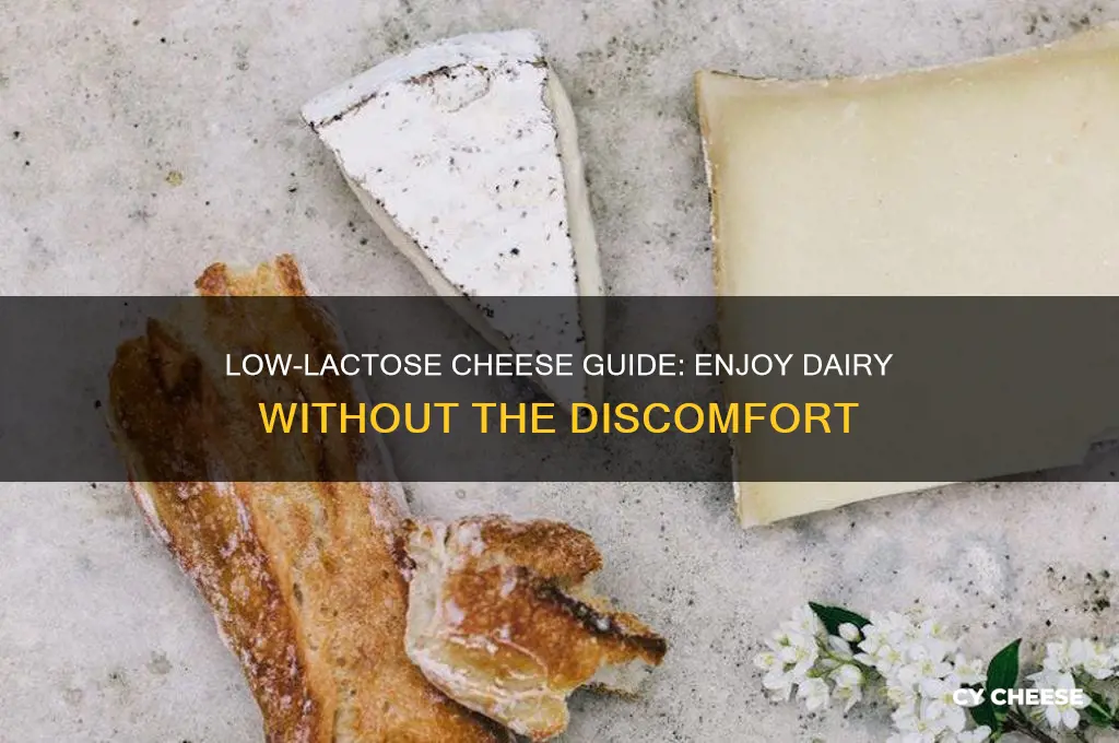 what cheese is low lactose