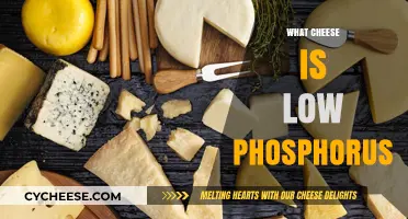 Low Phosphorus Cheese Options: Kidney-Friendly Choices for a Healthy Diet