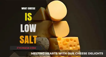 Discover Low-Sodium Cheese Options for a Healthier Diet Today