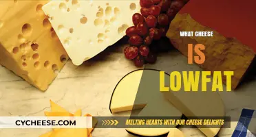 Discover the Best Low-Fat Cheese Options for Healthy Eating