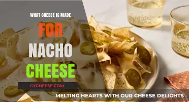 The Ultimate Guide to the Best Cheese for Nachos