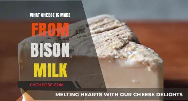 Bison's Golden Milk: Discovering the Cheesy Delights of Bison's Milk