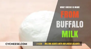 Exploring the Delicate Art of Buffalo Milk Cheese