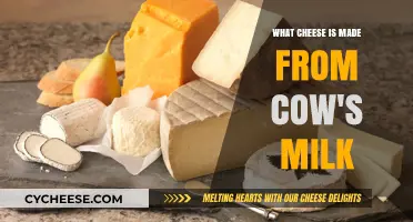 Exploring the World of Cow's Milk Cheese: A Cheesy Adventure