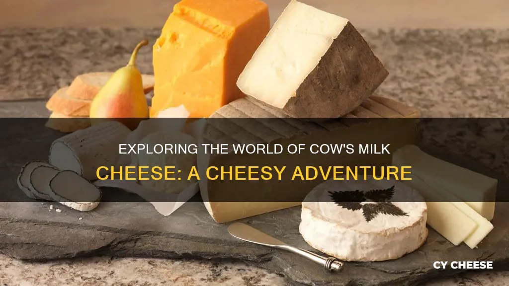 what cheese is made from cow