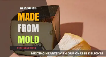 Unveiling the Moldy Marvels: A Journey into Mold-Ripened Cheeses