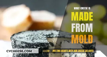Moldy Delicacies: The Art of Cheesemaking