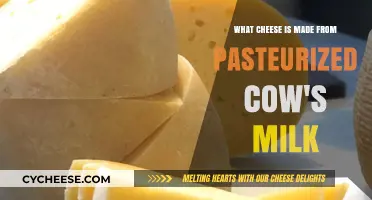 Exploring Pasteurized Cow's Milk Cheeses: A Delicious Journey