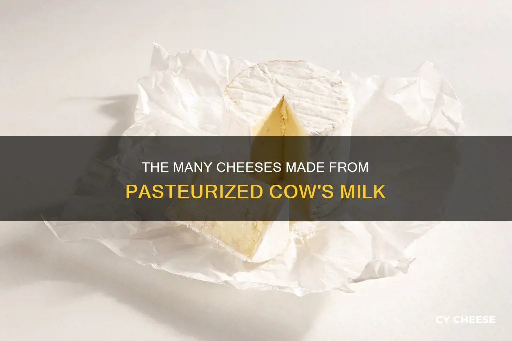 what cheese is made from pasteurized cow