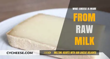 Exploring the World of Raw Milk Cheeses: A Tasty Adventure