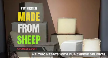 Sheep Cheese: Exploring Varieties and Flavors