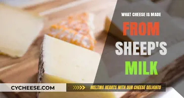 Sheep's Milk Cheese: A Guide to Delicate Delicacies