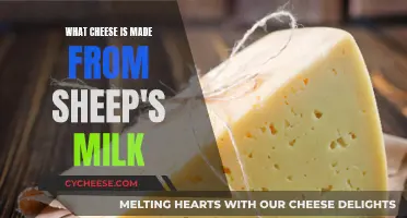 Sheep's Milk Cheese: Exploring Varieties and Flavors
