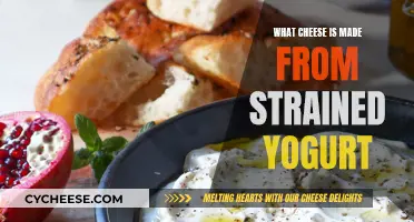 Strained Yogurt's Cheesy Transformation: A Culinary Adventure