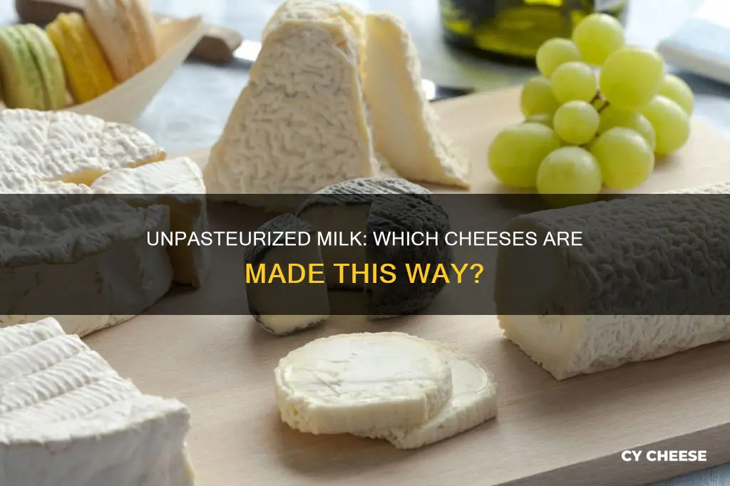 what cheese is made from unpasteurized milk